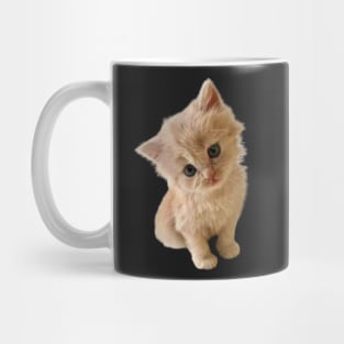 Cute kitten leaning for a kiss Mug